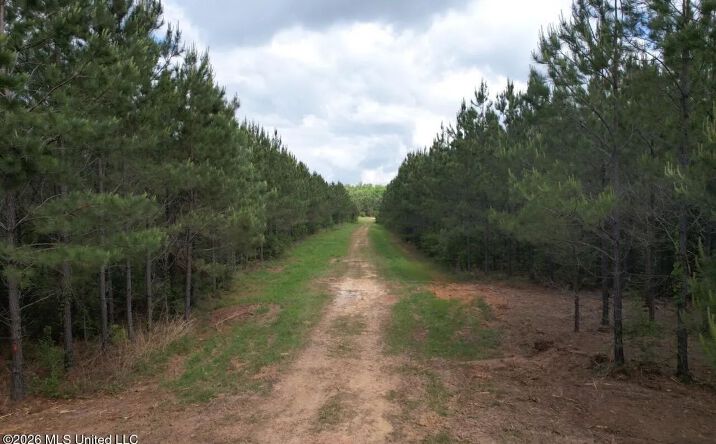 2354 Willie Redden Road, 50537