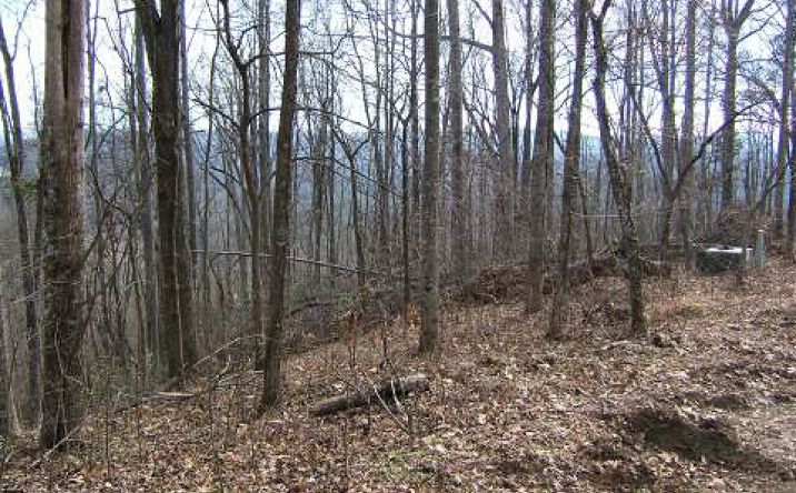 LOT16 Sec-B- Dickey Mtn, Murphy