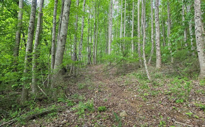 TBD Bent Nail Rd, Hillsville
