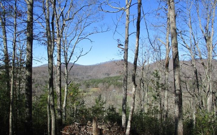 Caylee Anne Road, Blairsville