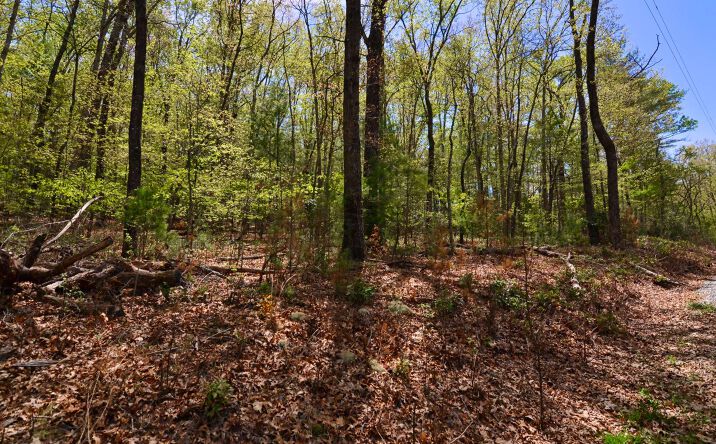 Longs Road, Blue Ridge