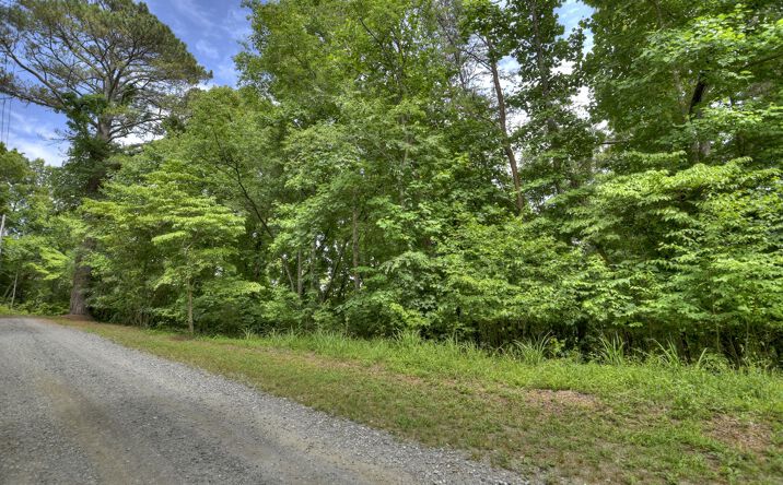 LT 42 Mountain Rivers Lane, Mineral Bluff
