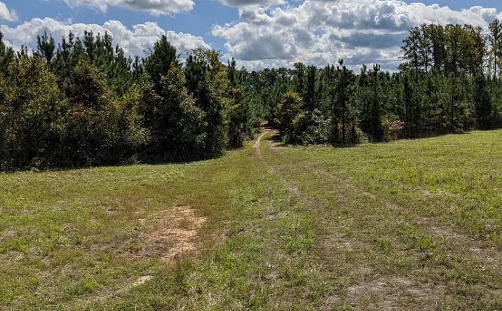 Waring Mill Rd, TAPPAHANNOCK