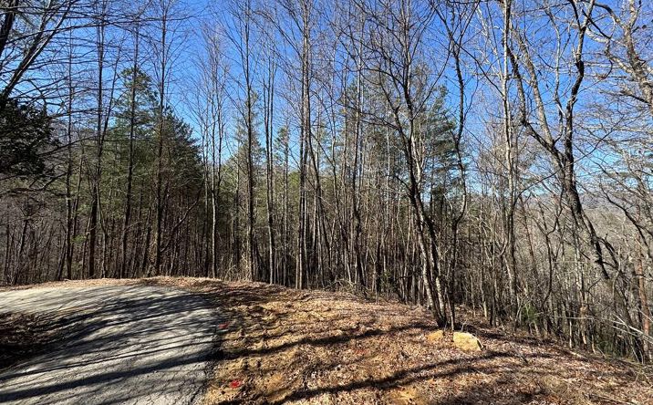 Trac I 2 Crockett Mountain Lane, Hayesville