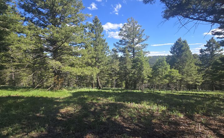 28 Muskrat Road, HELMVILLE