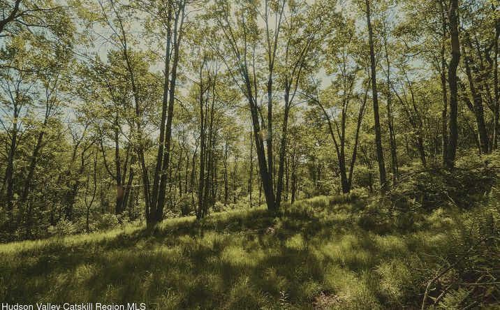 Benton Hollow Road, Liberty
