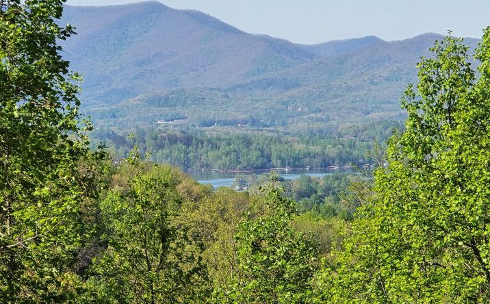 LT 10 High Meadows, Hayesville