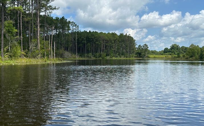 186 New Arbor Road West, Poplarville