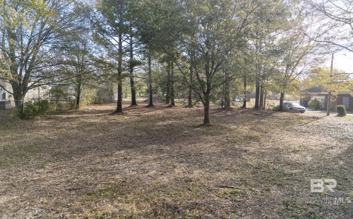 0 Austin Rd, Daphne