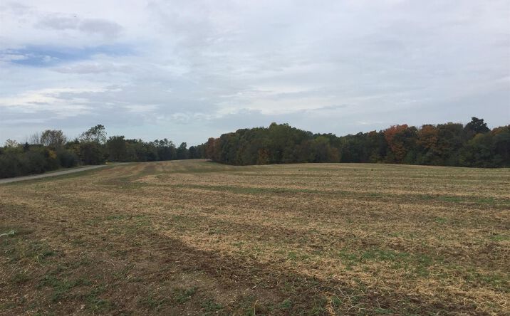 44.131ac St Rt 247, Jackson Twp