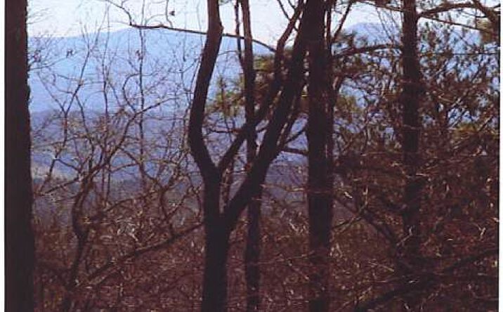 LT 10 Folklore Mtn, Morganton