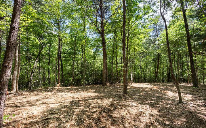 4.0 acre Donley Road, Murphy