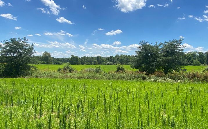 11.5ac Gard Road, Wayne Twp