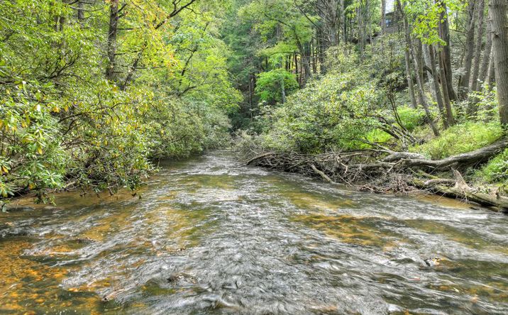 Lot 5 Chief Ron Green Trail, Blue Ridge