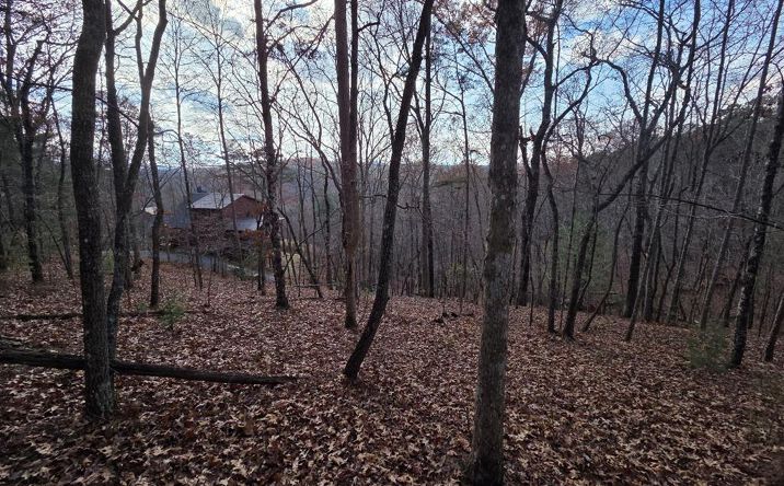 5 Fish Camp Way, Mineral Bluff