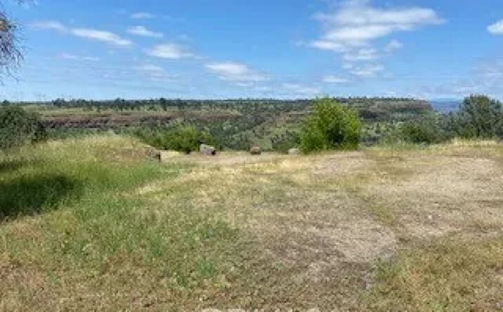 239 Eagle Nest, Chico