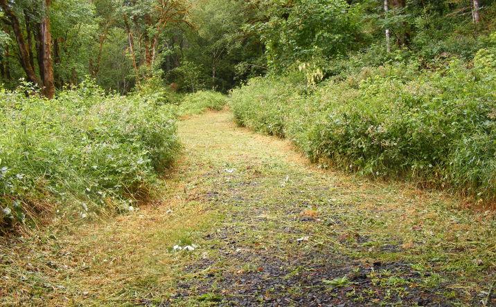 TL20123255 E Alsea Highway, Alsea