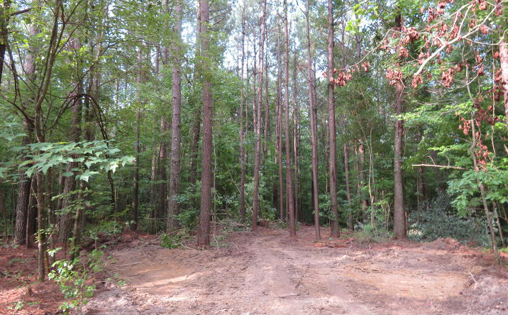 Newton County-Martin Road, Collinsville