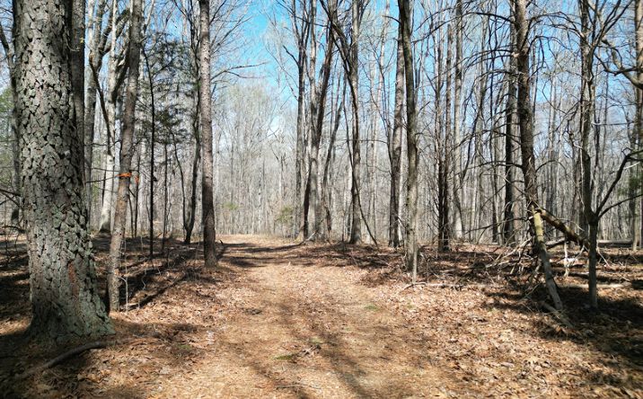 00 Tilden Nursery Road, Lexington