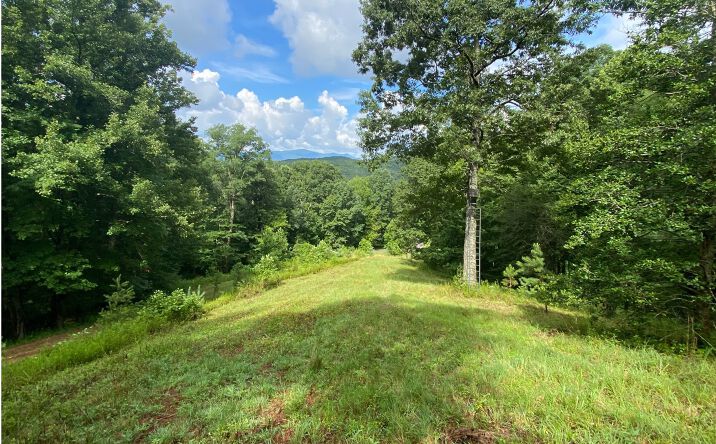 6-7 Mountain Field Drive, Blue Ridge