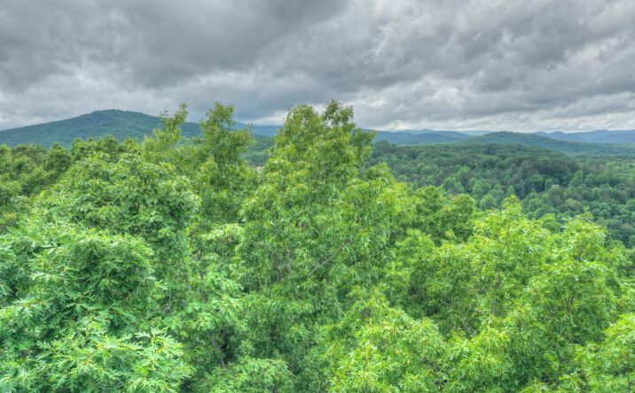 421 Plantation Lane, Blue Ridge