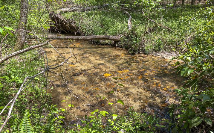 3.69 Twin Springs Road, Mineral Bluff