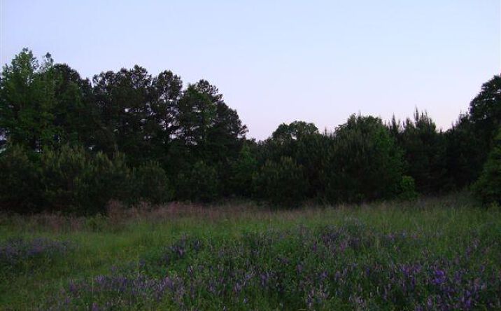9499 Highway 19 North, Collinsville
