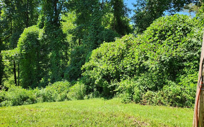 Foothills Drive, Blue Ridge