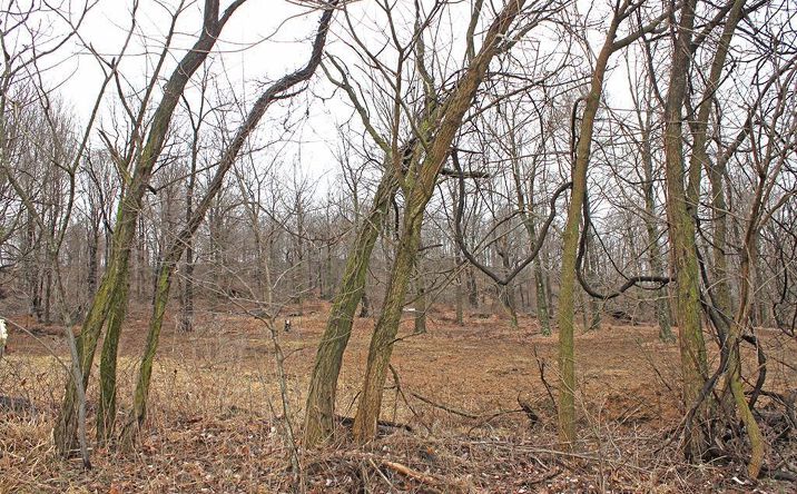 Washburn Road, Brushcreek Twp