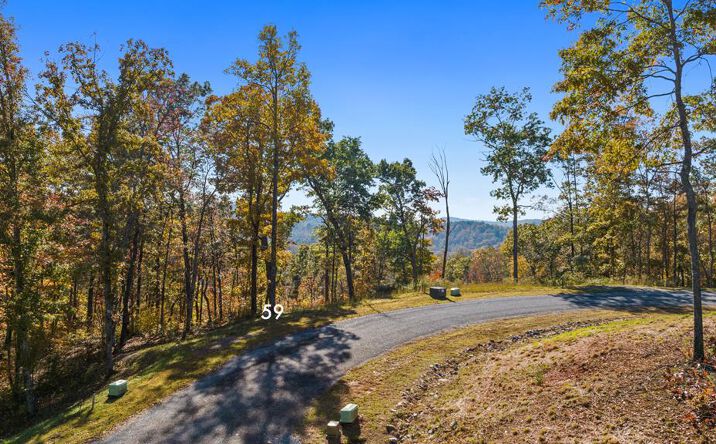Lot 59 Ridge Line Trail, Ellijay