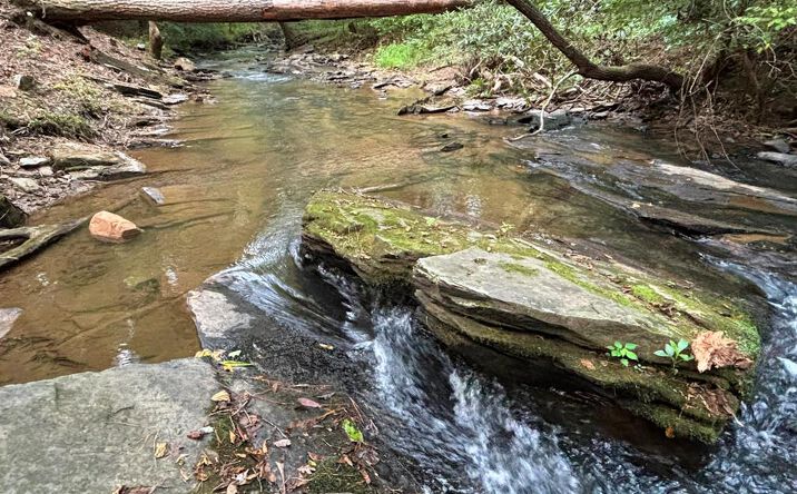 Lot 5 Mt. Springer Road, Ellijay