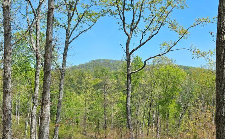 Lot 209 Oak Park Drive, Talking Rock
