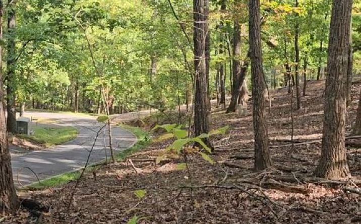 315 Windflower Drive, Big Canoe