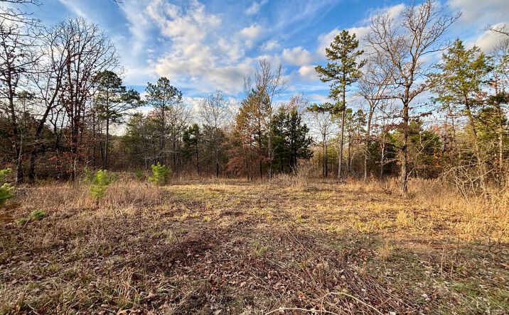 100 White Rd, Heavener