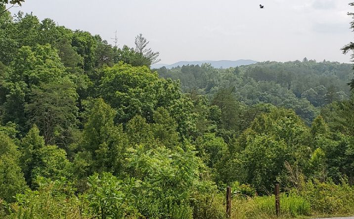 L 37 Toccoa River Forest, Mineral Bluff
