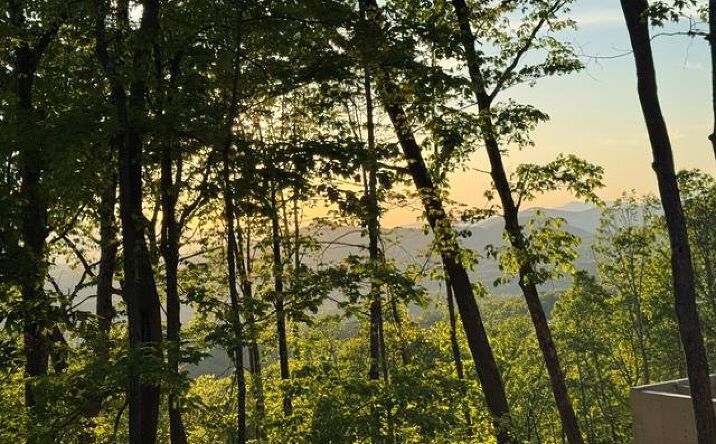 Lot 239 Kittatinny Drive, Mineral Bluff
