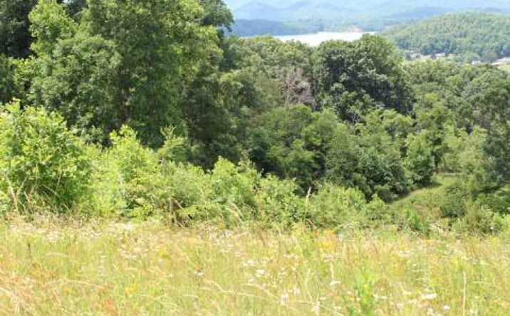 42 Bell Meadows, Hiawassee