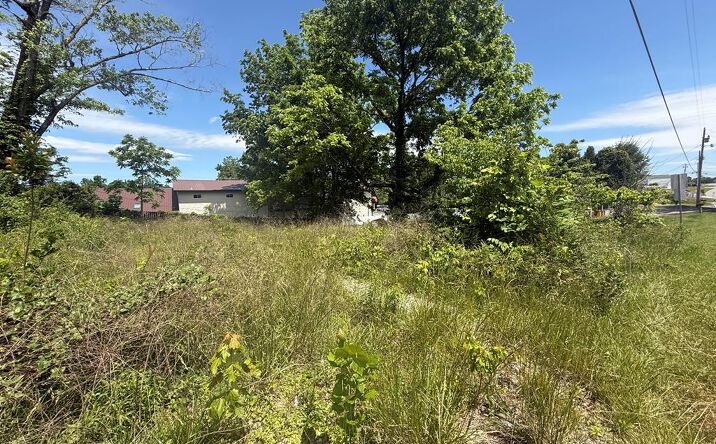 LT 19 E Second Street, Blue Ridge