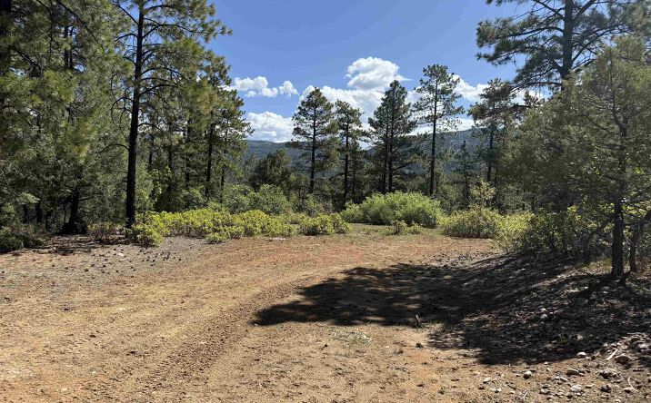 TBD Buckman Road Road, Chama