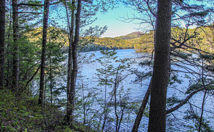 Lt 17 Wilderness Lake Circle, Murphy