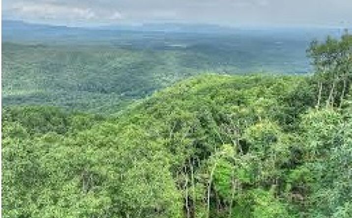 Lot 34 Lt 34 Utana Bluffs, East Ellijay