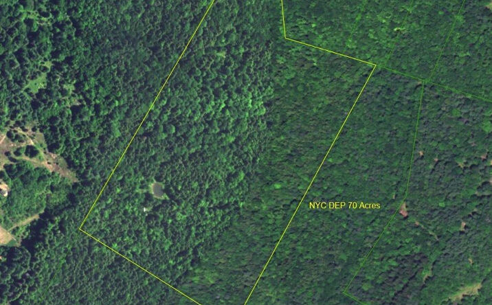 166 Steep Hill Road, Ashland