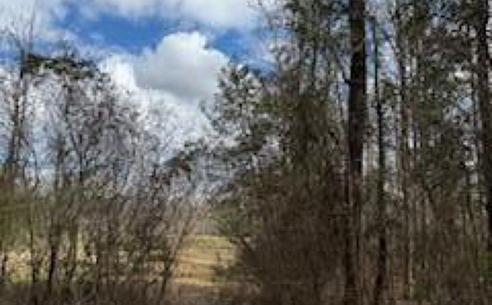 000 Wildcat Road, Collinsville