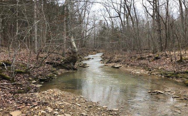 Savage Road, Bratton Twp