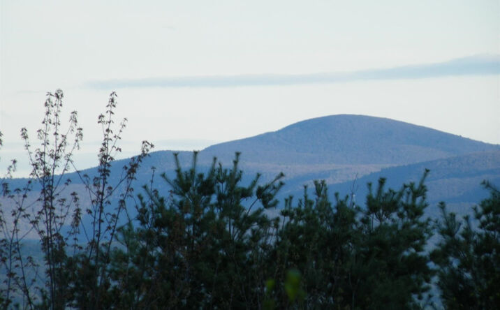 8 - acre Schmeichel, Hillsdale