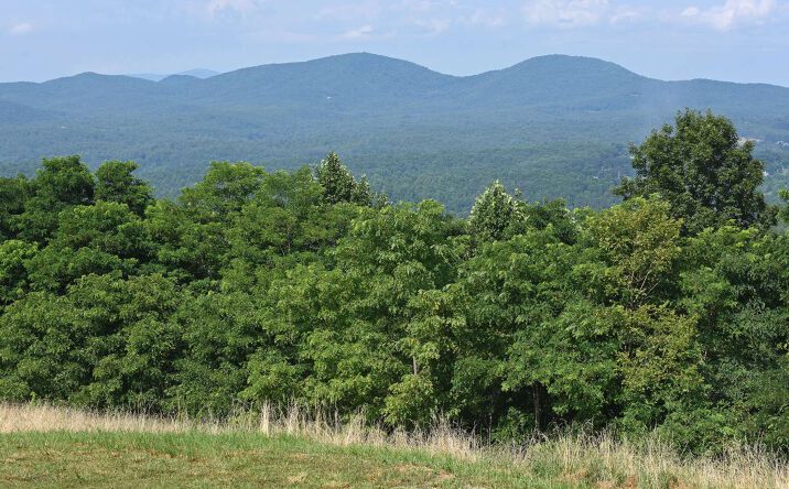 Summit Trace, Blairsville