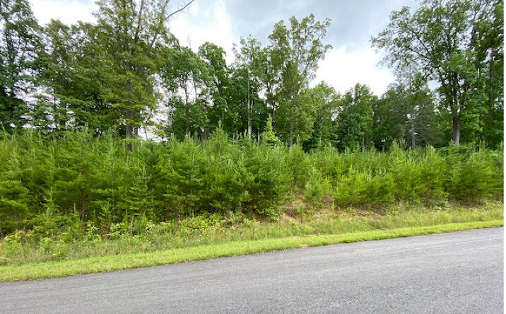 LT211 Katherine Drive, Blairsville