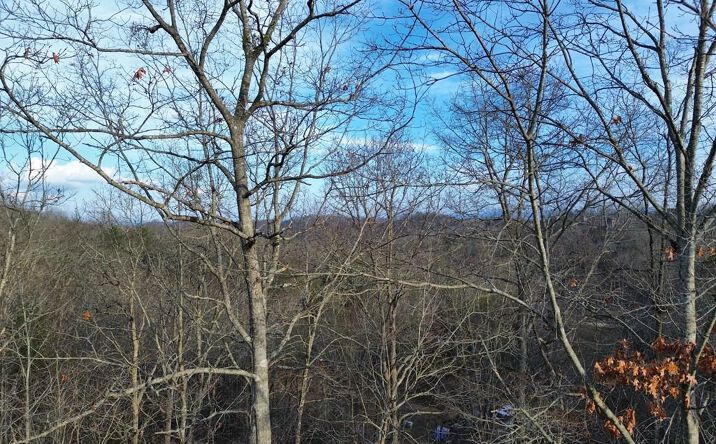 Tract 2 Century Lane, Blue Ridge