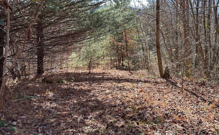 174 Burrell Mountain Road, Murphy