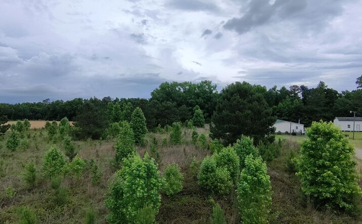 3821 Nicole Lane, Sumter